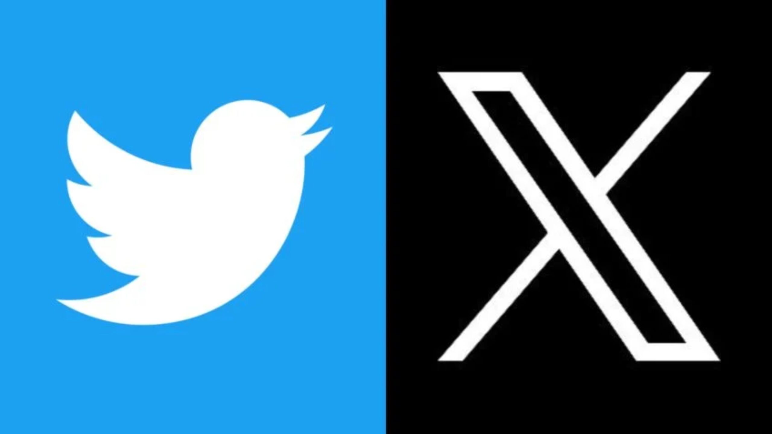 twitter-nao-pode-mais-ser-chamado-de-rede-social-do-passarinho
