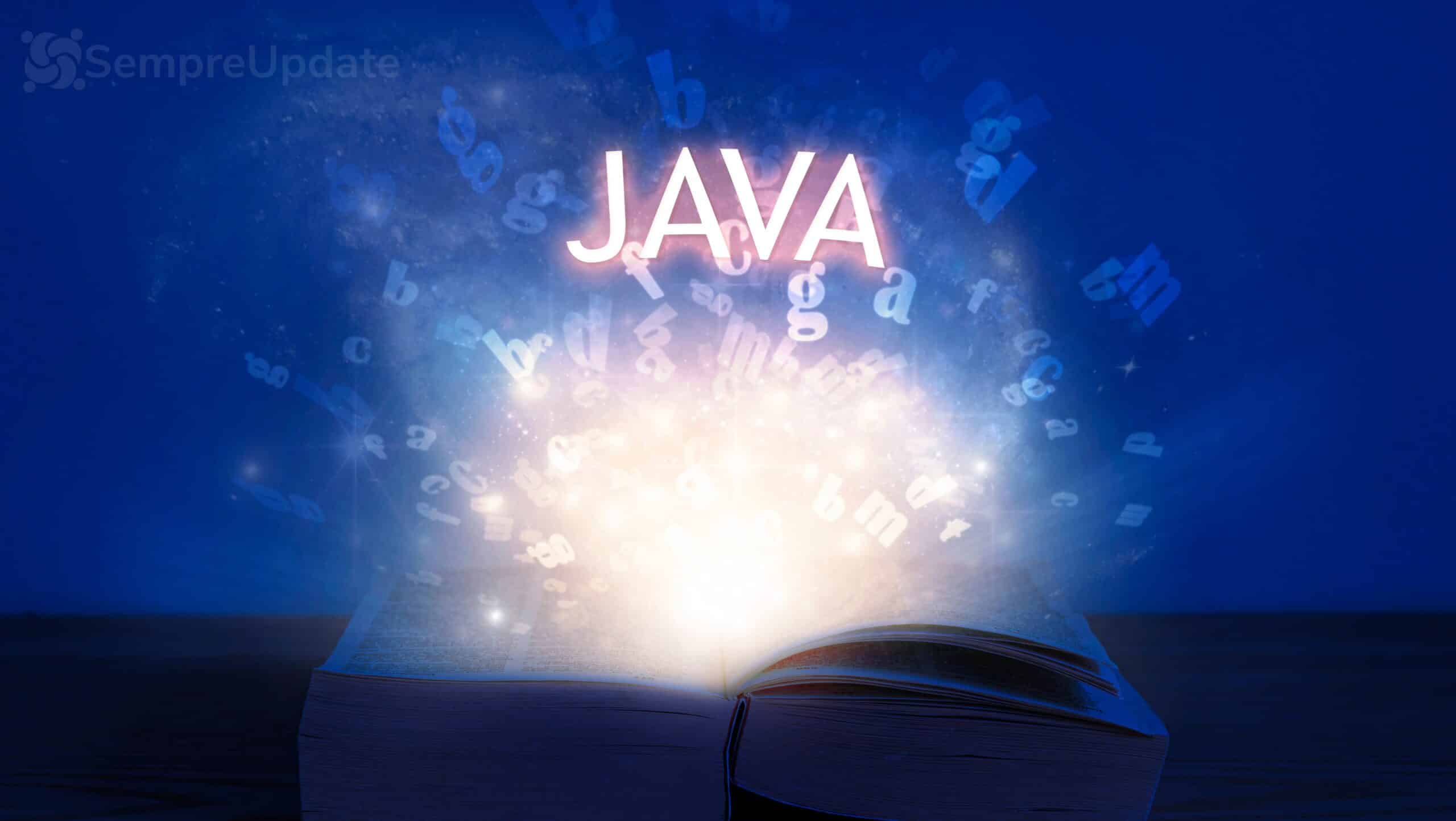 Passo a passo Como instalar o Java no Ubuntu Linux e otimizar seu ambiente de desenvolvimento