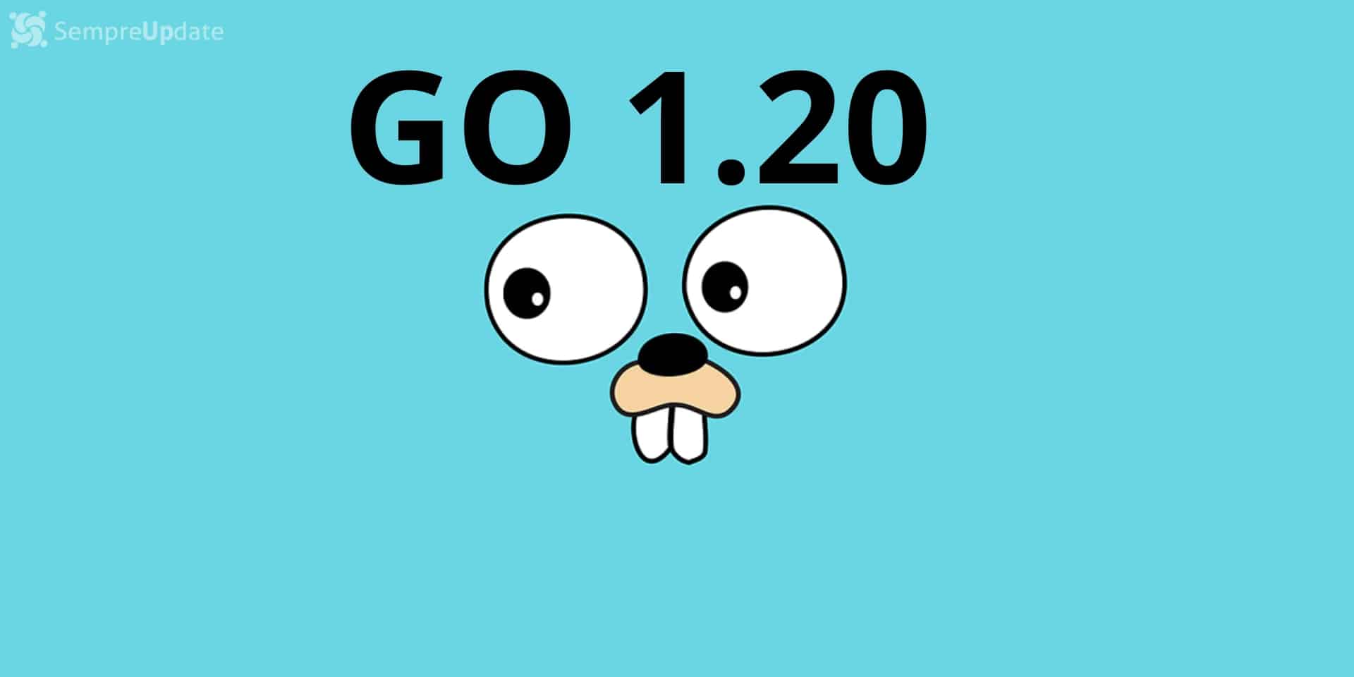 linguagem-de-programacao-go-1.20