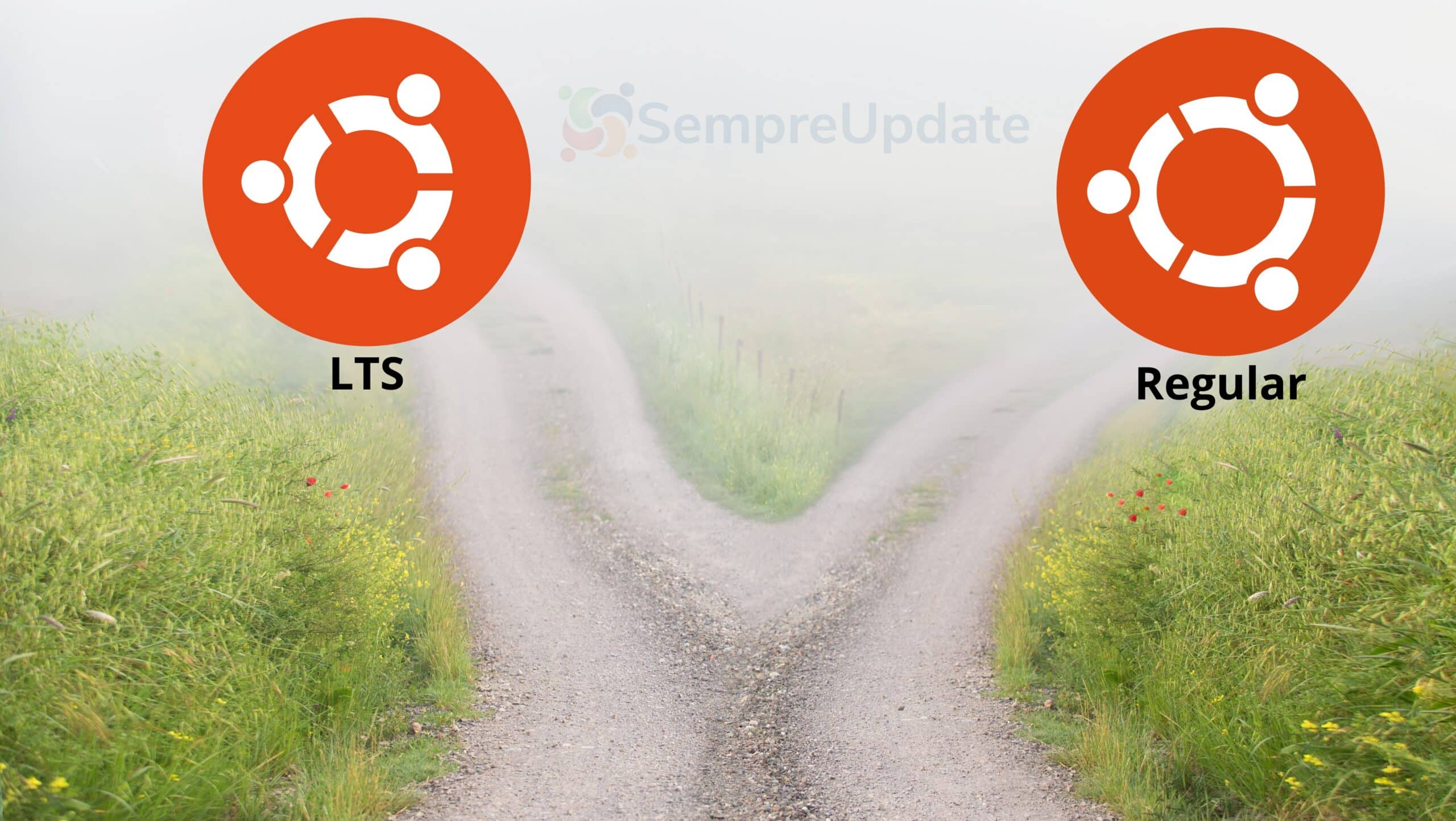 diferencas entre ubuntu lts vs ubuntu regular scaled