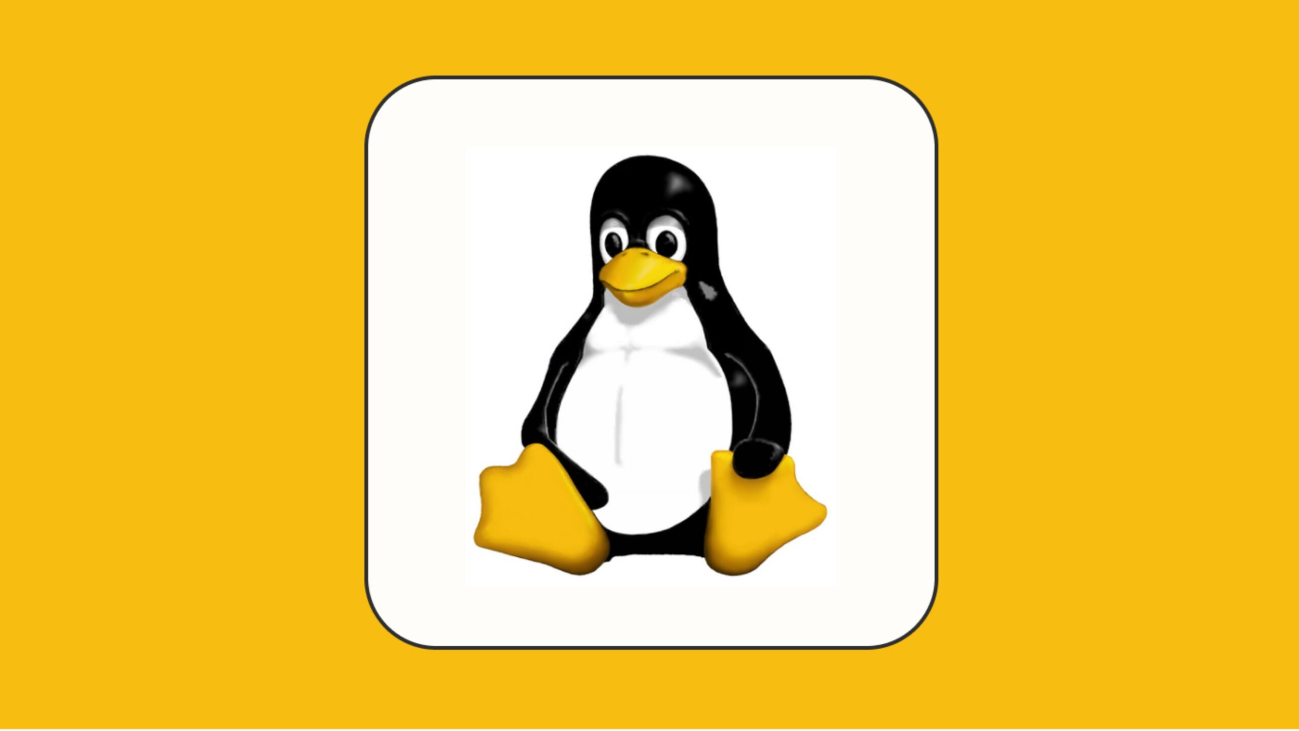 conheca-8-erros-comuns-que-usuarios-iniciantes-de-linux-cometem