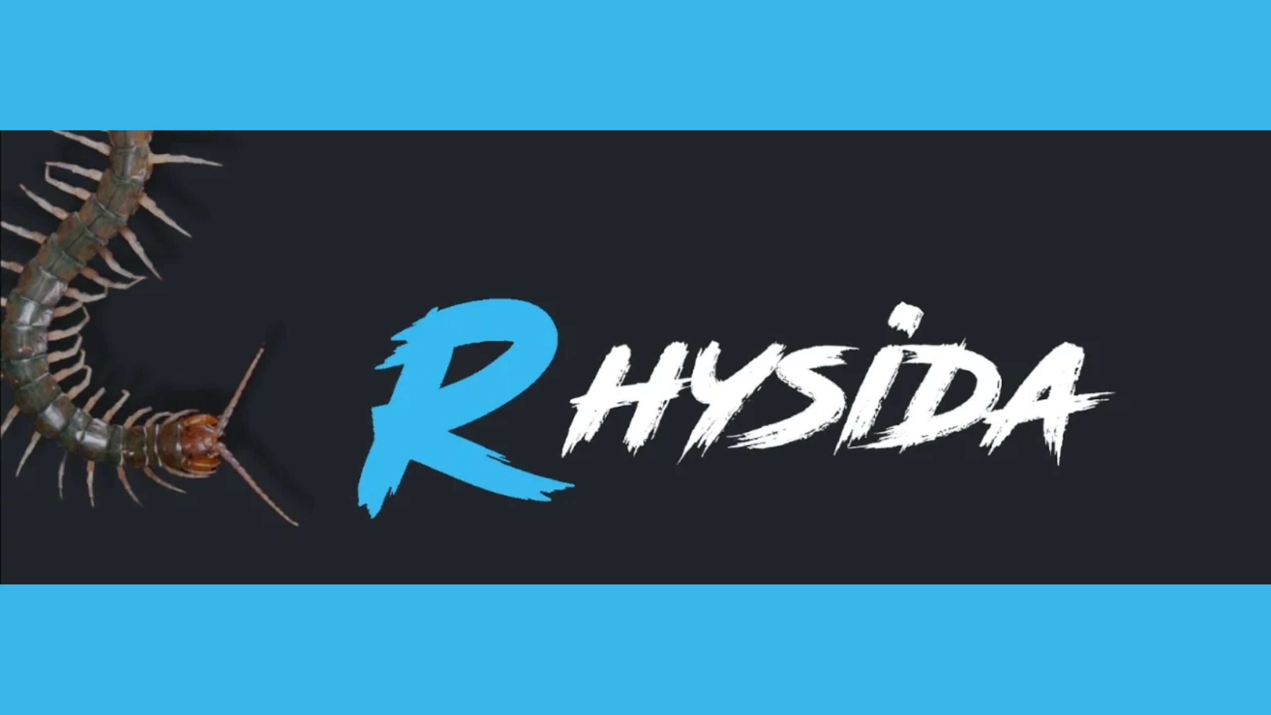 pesquisadores-lancam-descriptografador-para-o-ransomware-rhysida
