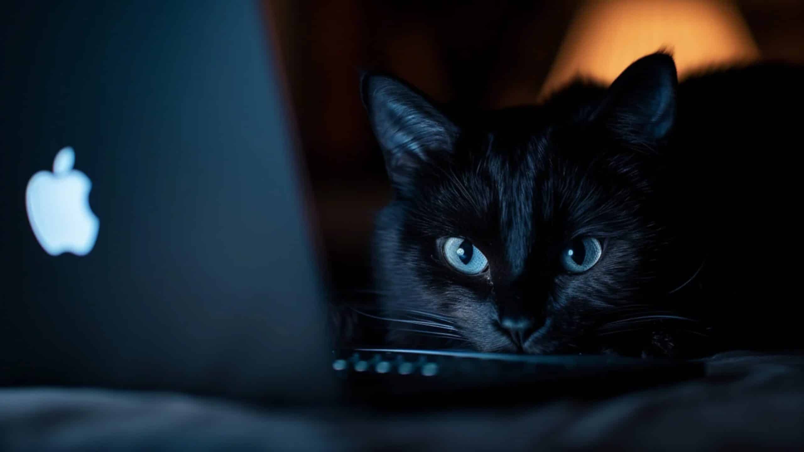 novo-malware-rustdoor-macos-se-passa-por-atualizacao-do-visual-studio
