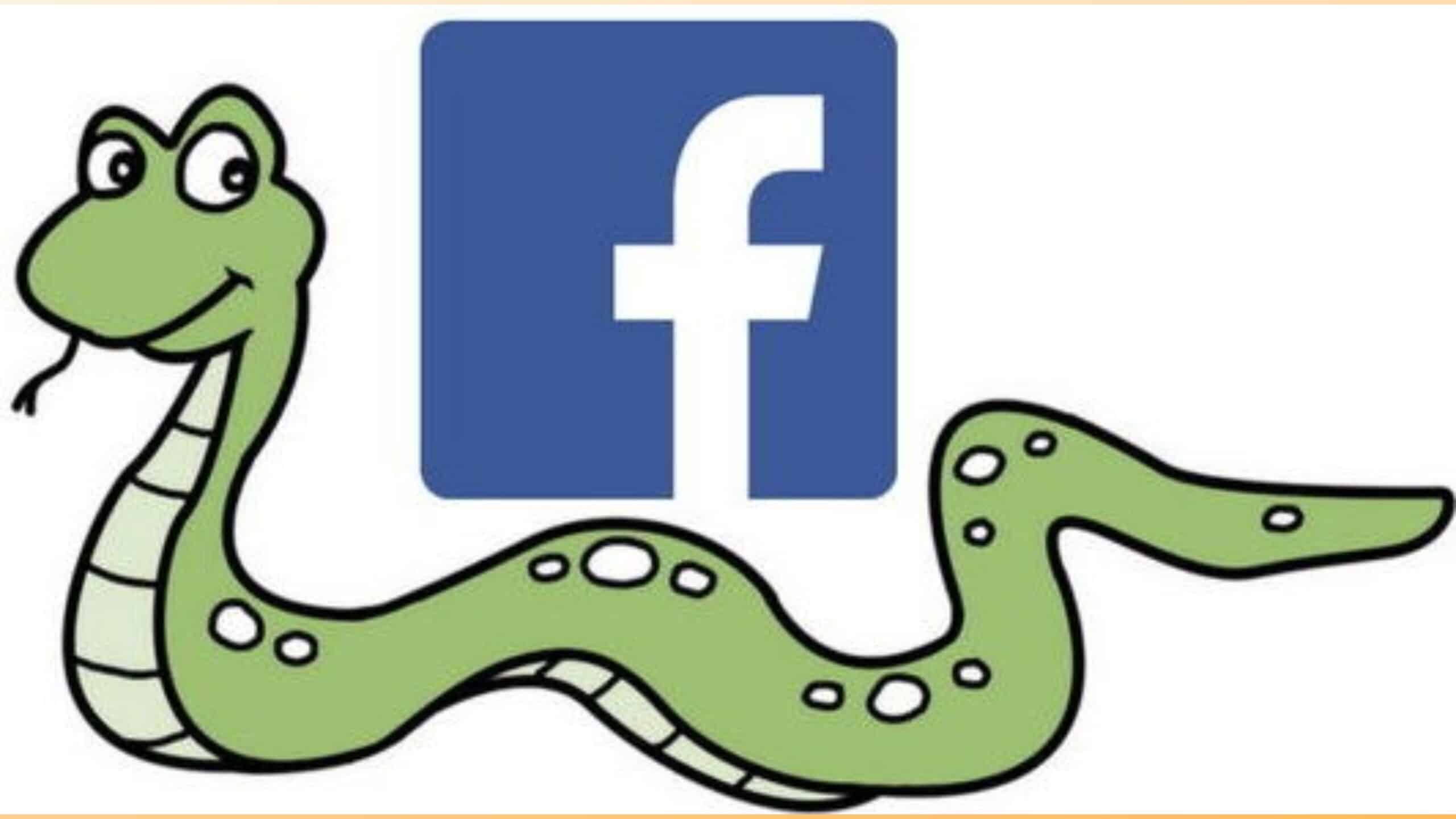 cibercriminosos-usam-o-facebook-para-espalhar-ladrao-de-informacoes-snake