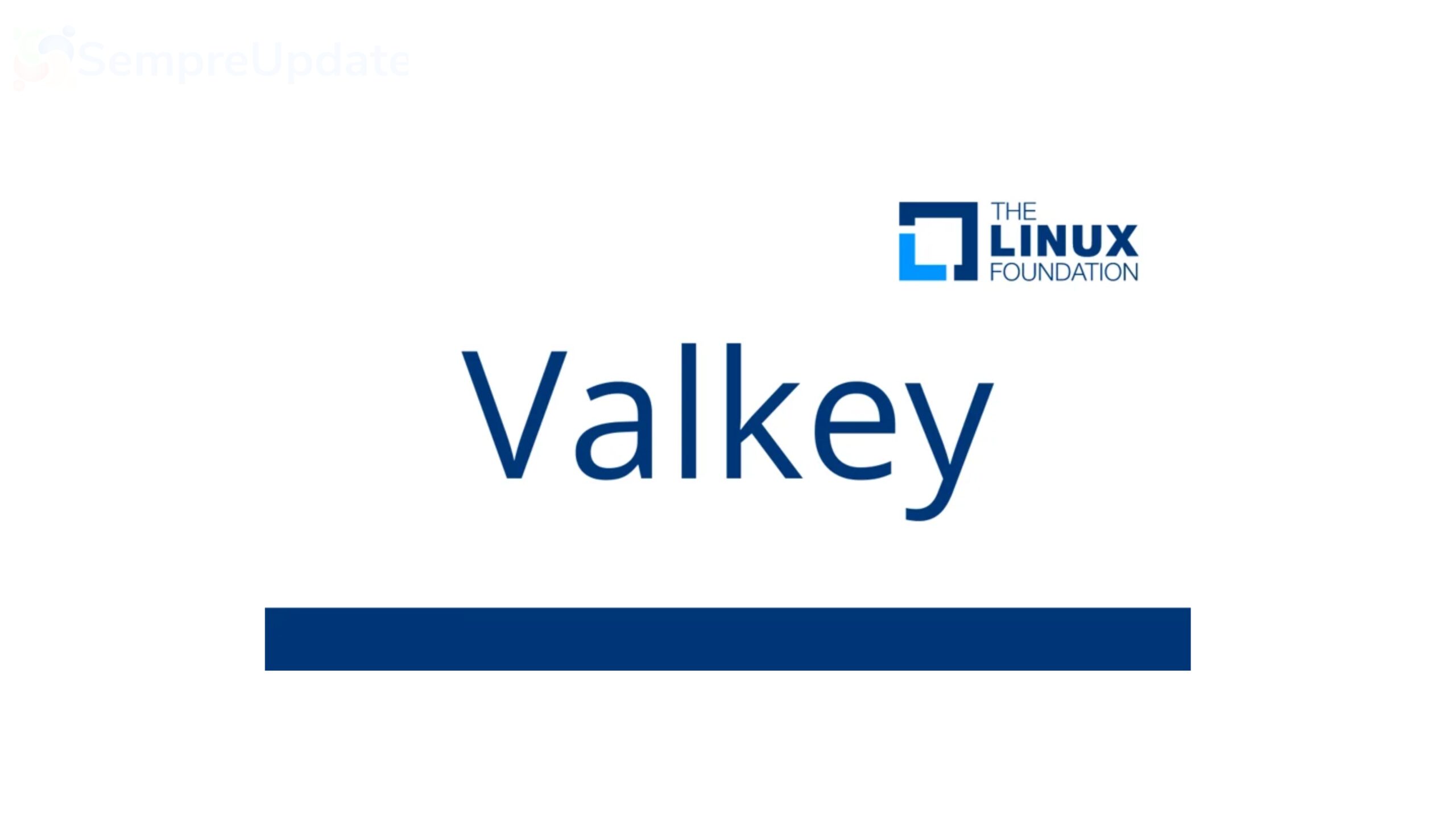 valkey scaled