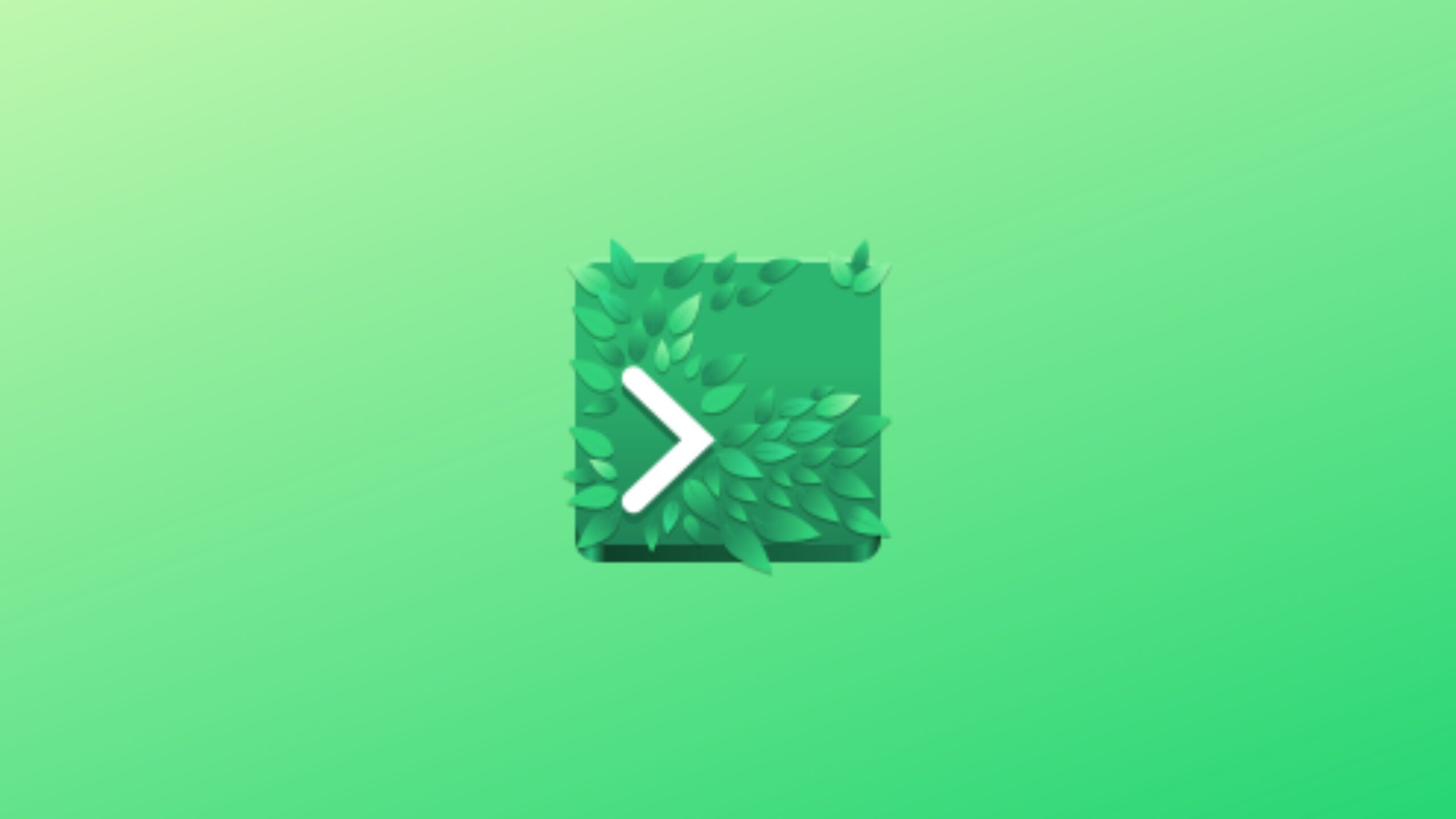 como-instalar-o-terminal-ptyxis-no-linux