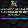 Desvendando os segredos da alocação de memória no linux