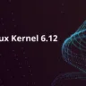 Linux Kernel 6.12