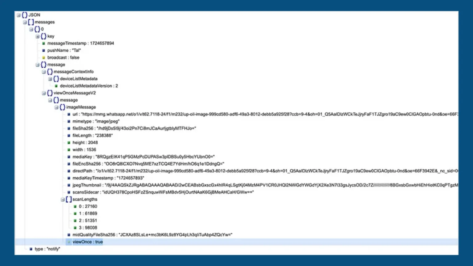 Falha de privacidade no WhatsApp dribla o recurso “Visualizar uma vez” 1 Imagem com a falha de privacidade do WhatsApp
