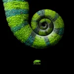 Cauda em espiral de camaleão com textura detalhada em tons de verde e azul, representando a identidade visual do openSUSE.