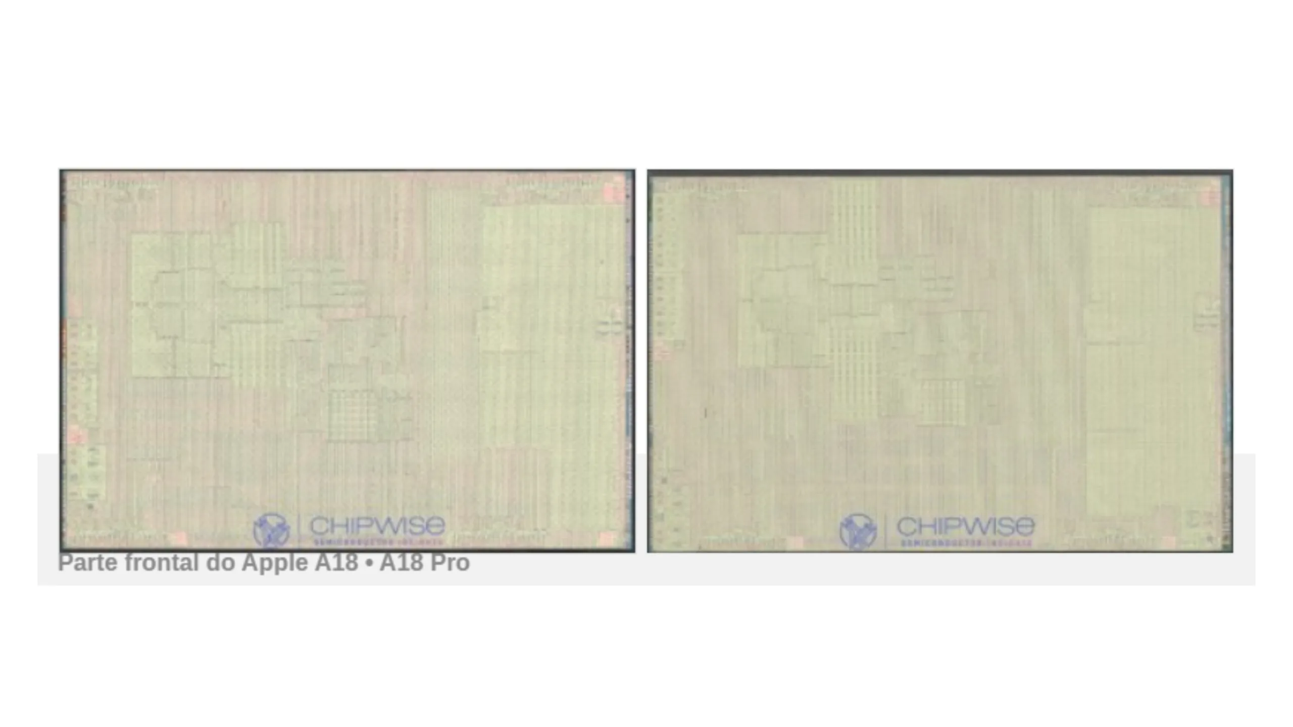 Imagens dos chips Apple A18 e A18 Pro revelam dois designs diferentes 2 imagem de chip Appla A18