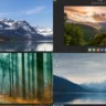 Montagem de capturas de tela dos quatro ambientes de desktop do Solus 4.6: XFCE, Plasma, GNOME e Budgie, cada um mostrando um papel de parede diferente e a disposição de suas respectivas barras de tarefas.