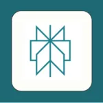 Perplexity AI macOS