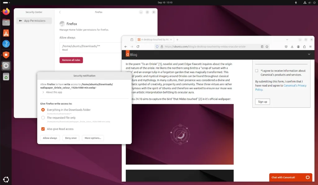 Centro de Segurança do Ubuntu 24.10 mostrando permissões de aplicativos e controle de privacidade.