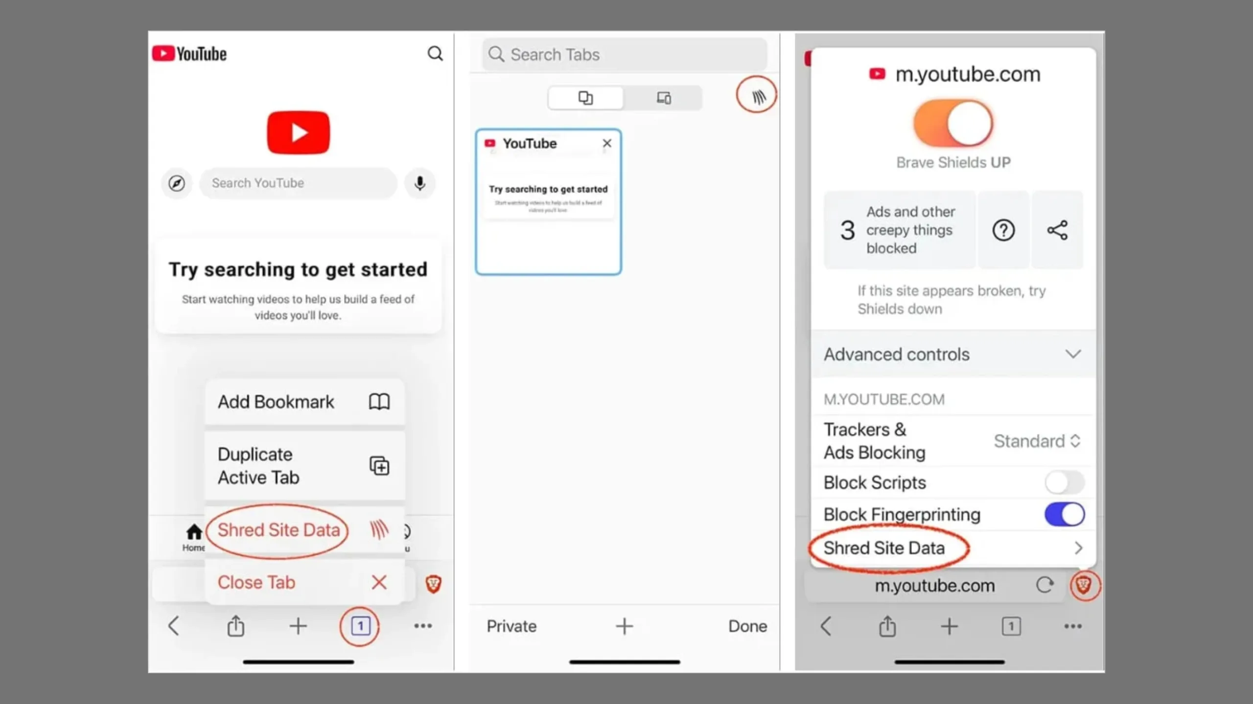Brave no iOS adiciona novo botão "Shred" para apagar dados específicos de sites 2 Invocação manual