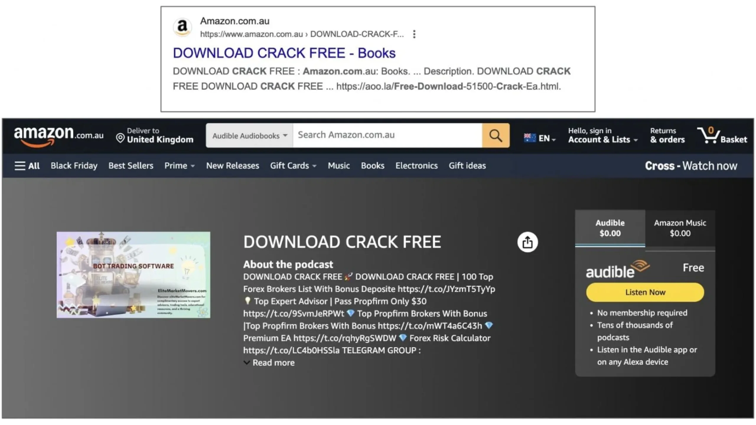 Listagem da Amazon para 'software de bot trading' oferecido 'sem crack'