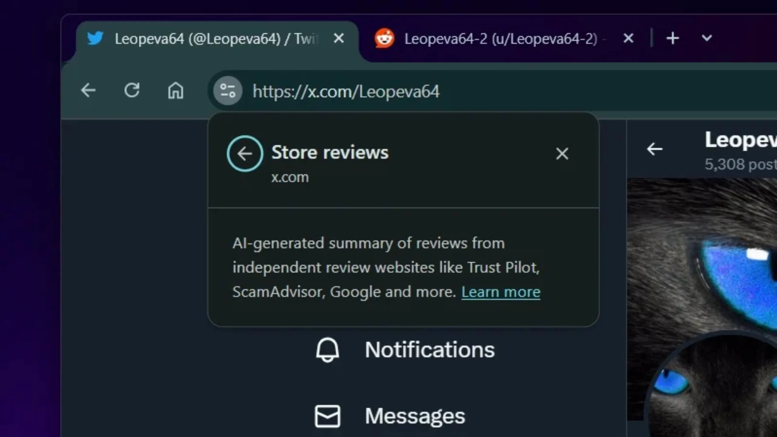 Google Chrome usa IA para avaliar a confiabilidade de sites de forma rápida e eficiente 2 IA Chrome avalia confiabilidade de sites
