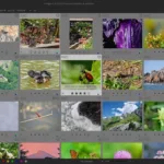 darktable 5.0