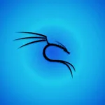 Kali Linux 2024