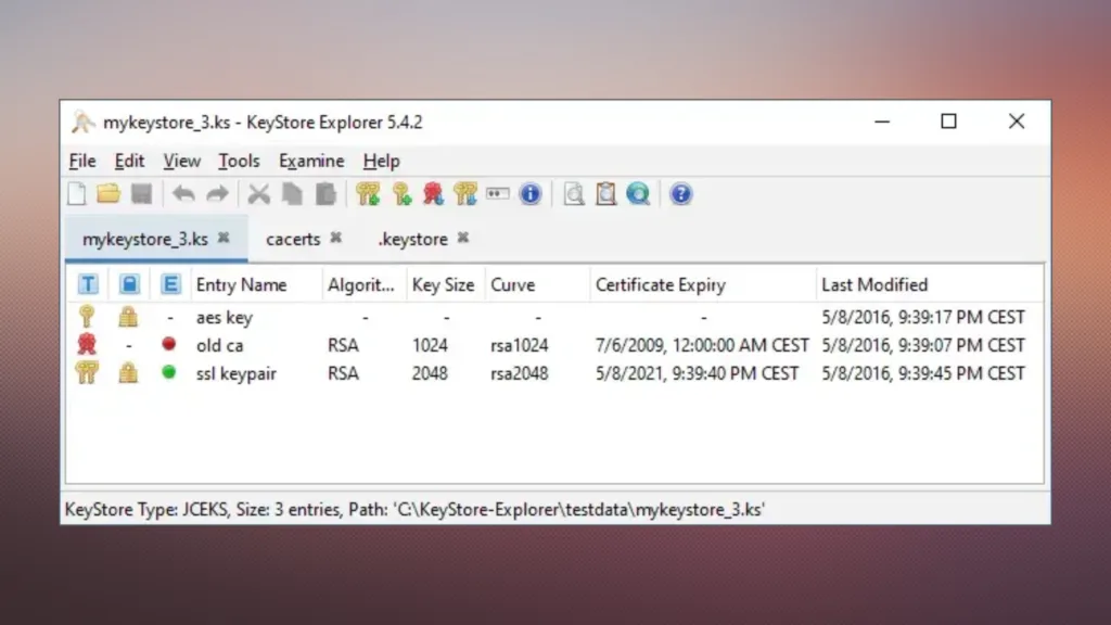 Imagem com a interface do Keystore Explorer