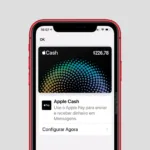 Apple Cash