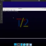 t2
