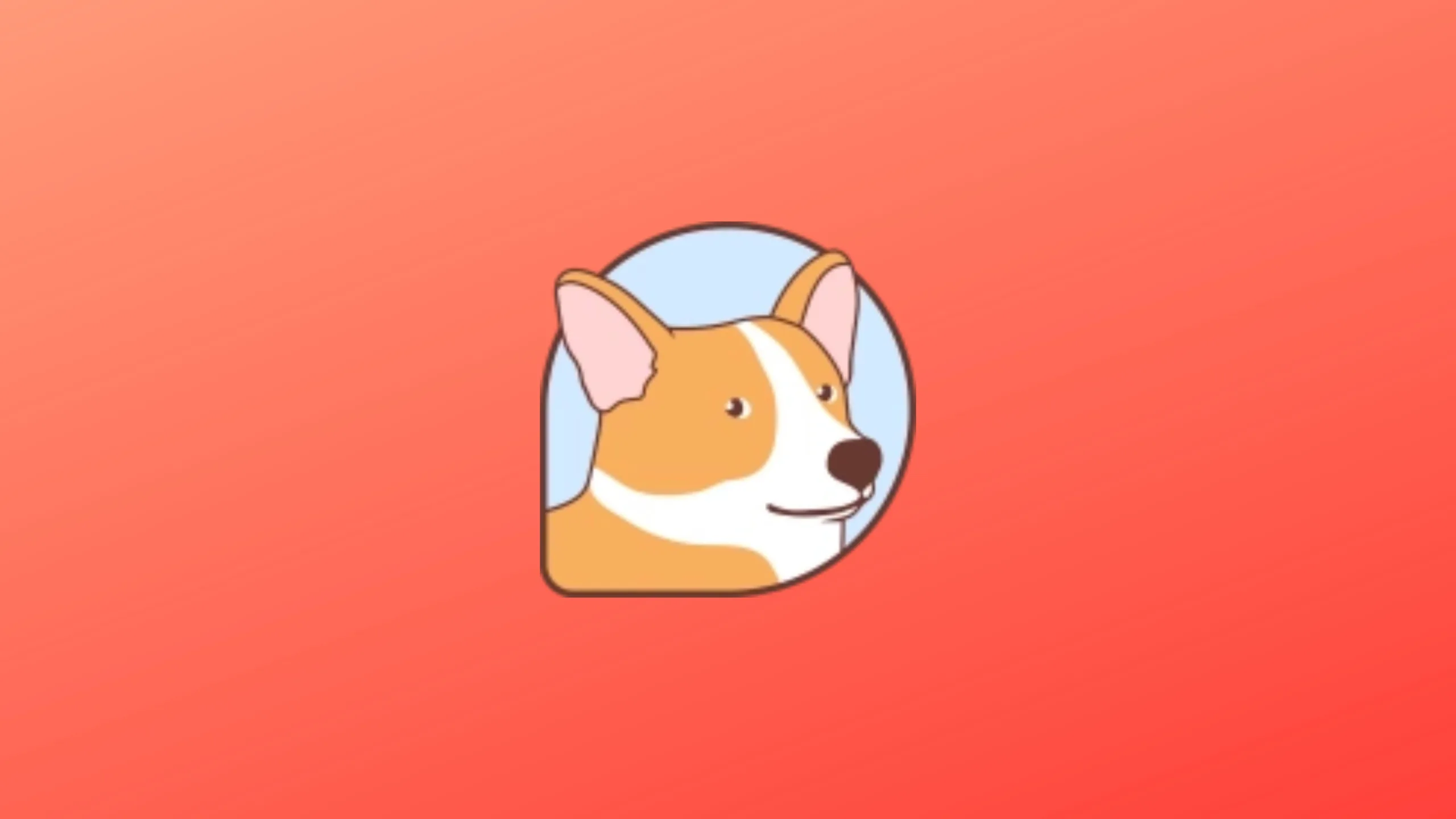 Imagem com a logomarca do DisCorkie