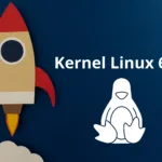 LDoS99tf kernel linux 6.15