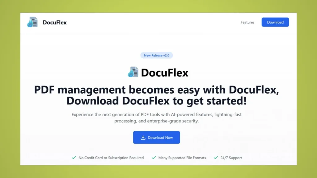Site DocuFlex que estava disponível em fevereiro de 2025
