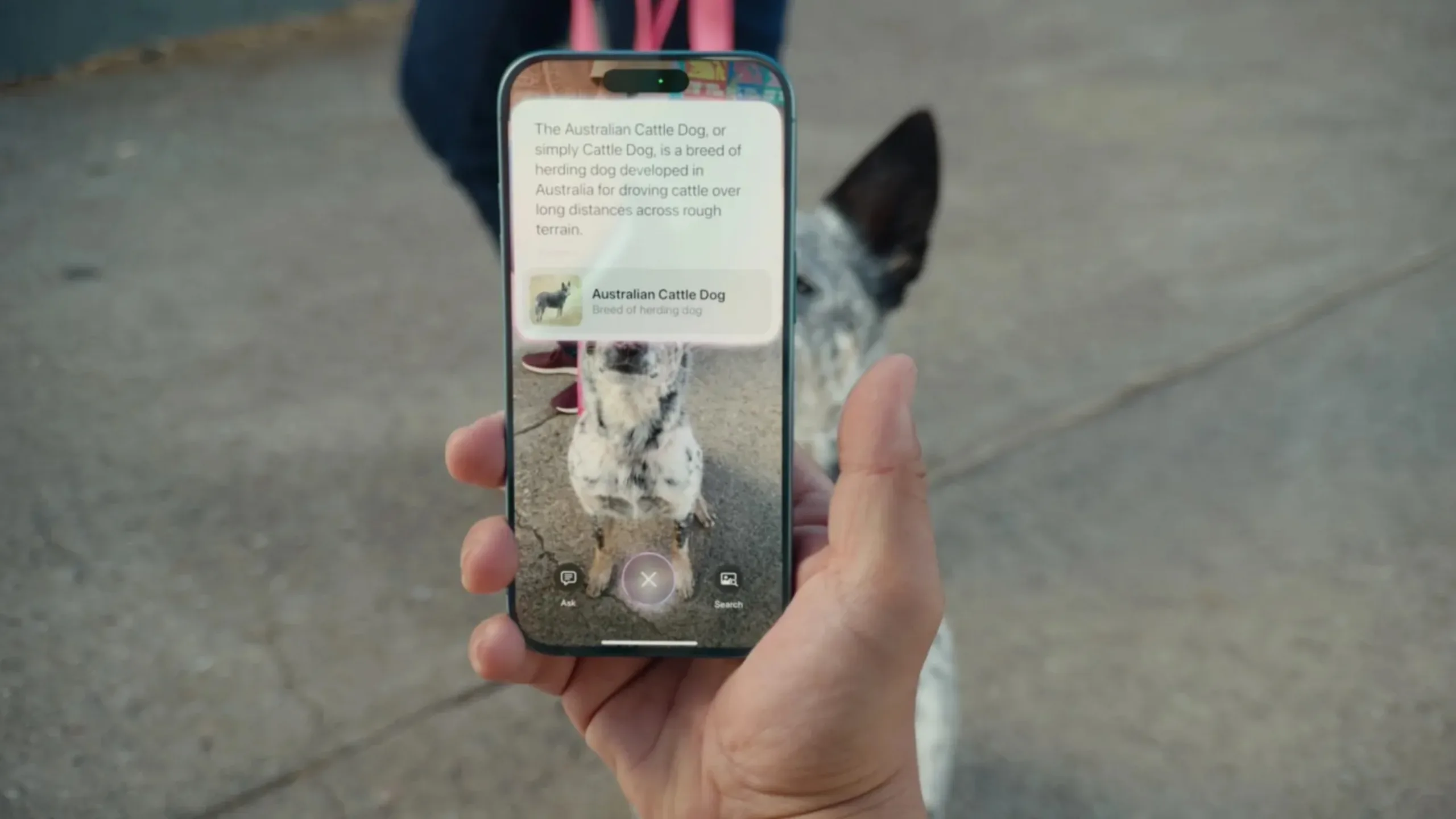 AirPods com câmeras: a combinação ideal com a Siri contextual 2 AirPods com câmera