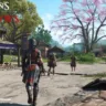 Assassins Creed Shadows Ubisoft