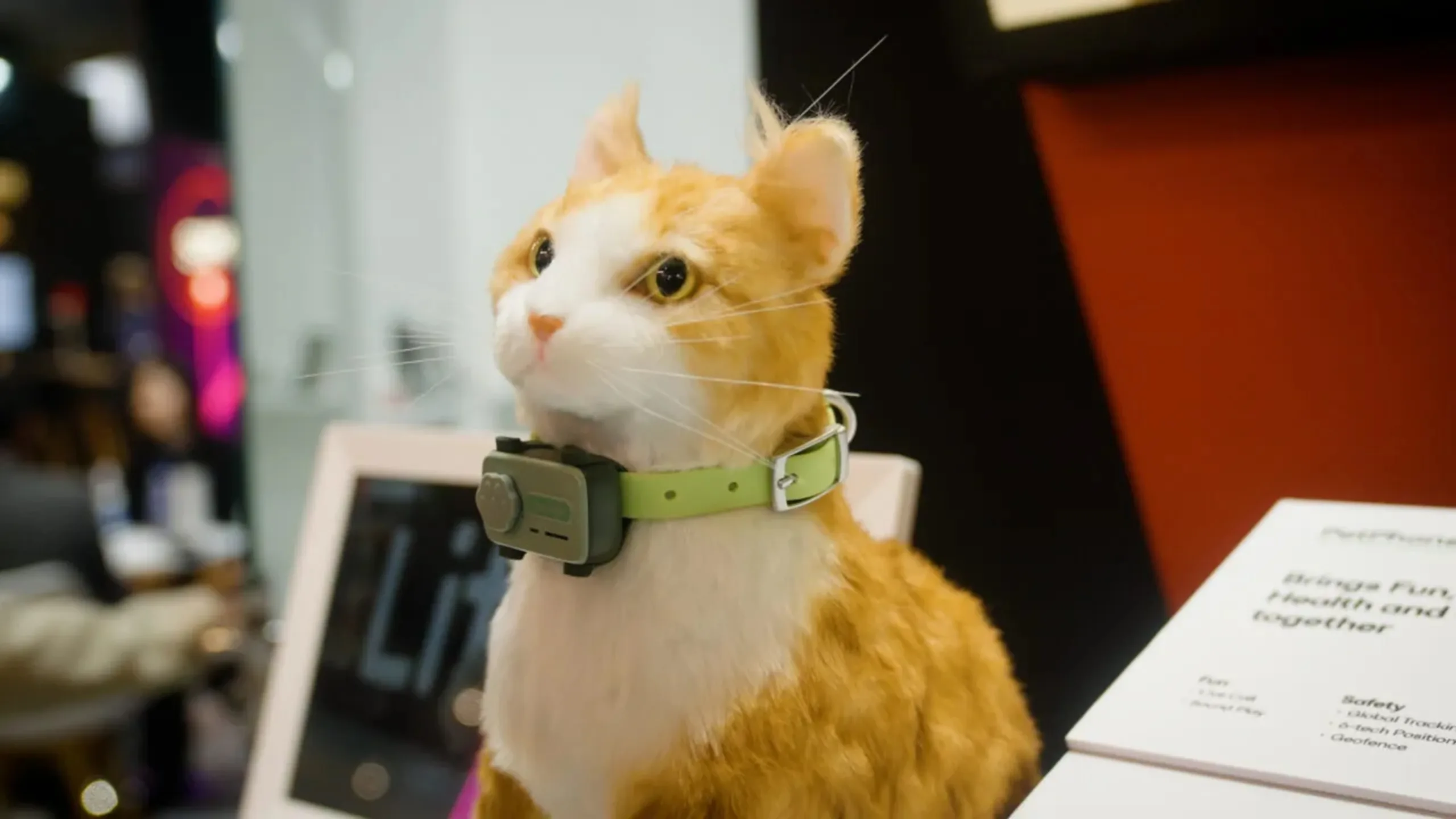 PetPhone