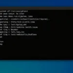 Tudo sobre o comando Linux chown: controle de permissões com facilidade