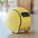 Balli Robot