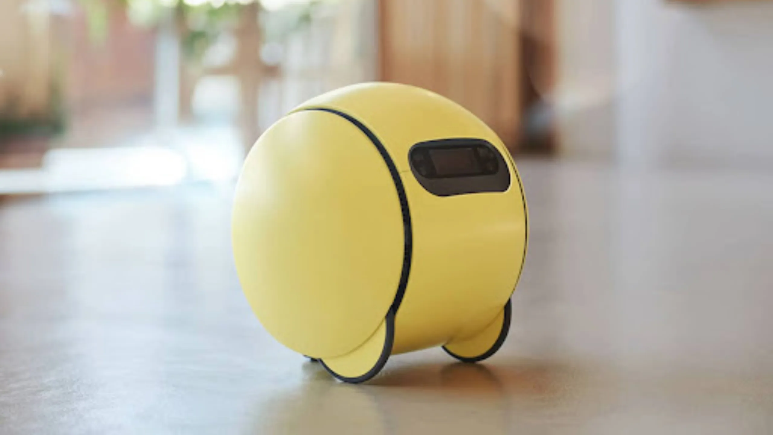 Balli Robot