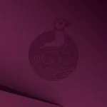 mR1qtsQV ubuntu 25.04 Plucky Puffin