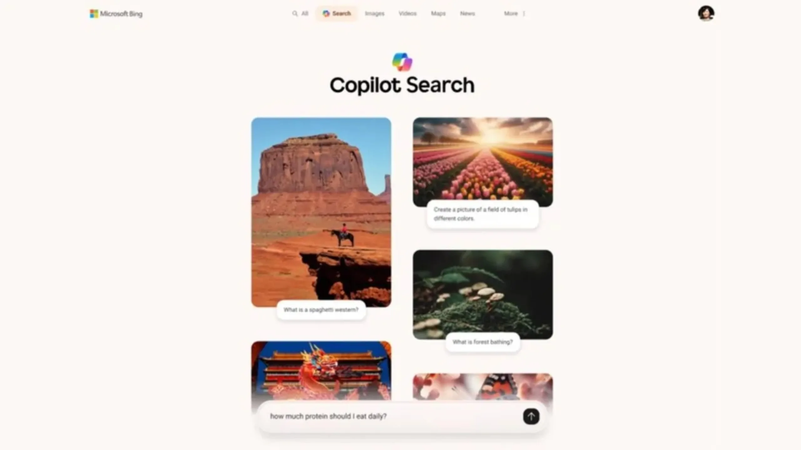 Microsoft Copilot Search Bing