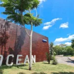 Alunos participam de curso gratuito do Samsung Ocean