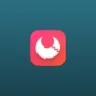 Imagem com a logomarca do Apifox