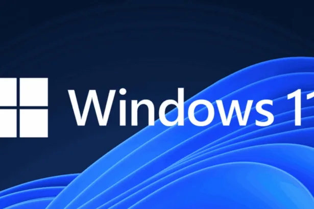 Windows 11