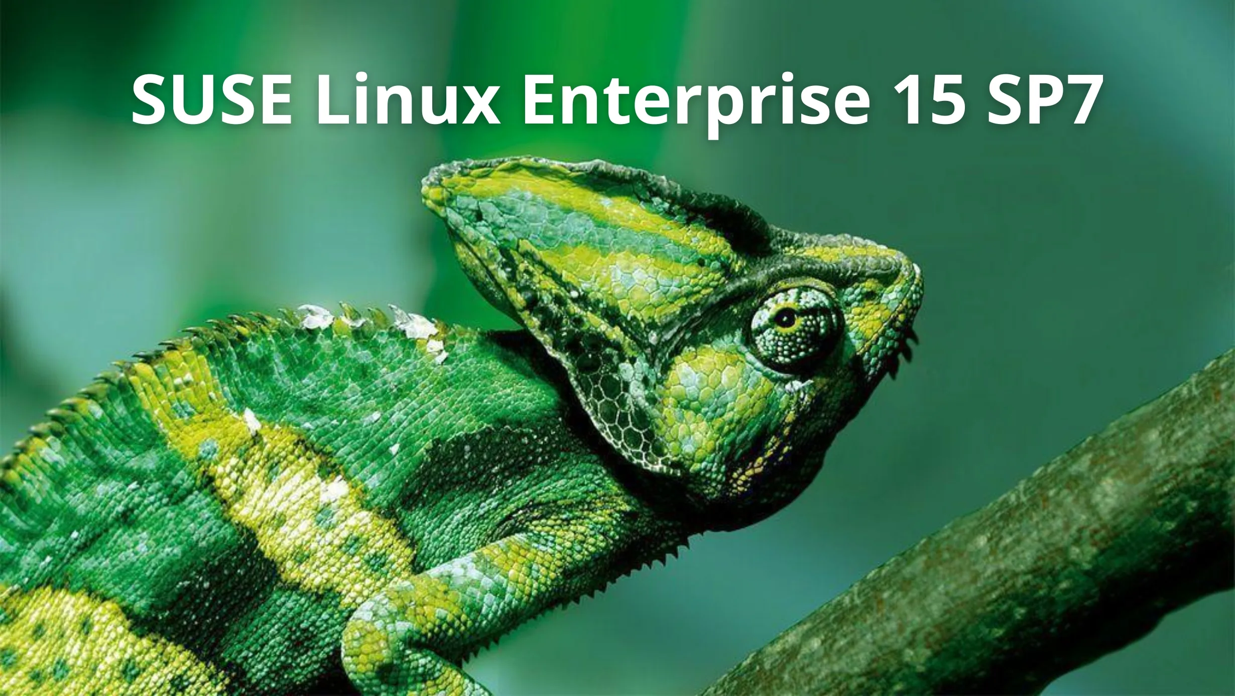 Imagem promocional do SUSE Linux Enterprise 15 SP7 com fundo verde característico