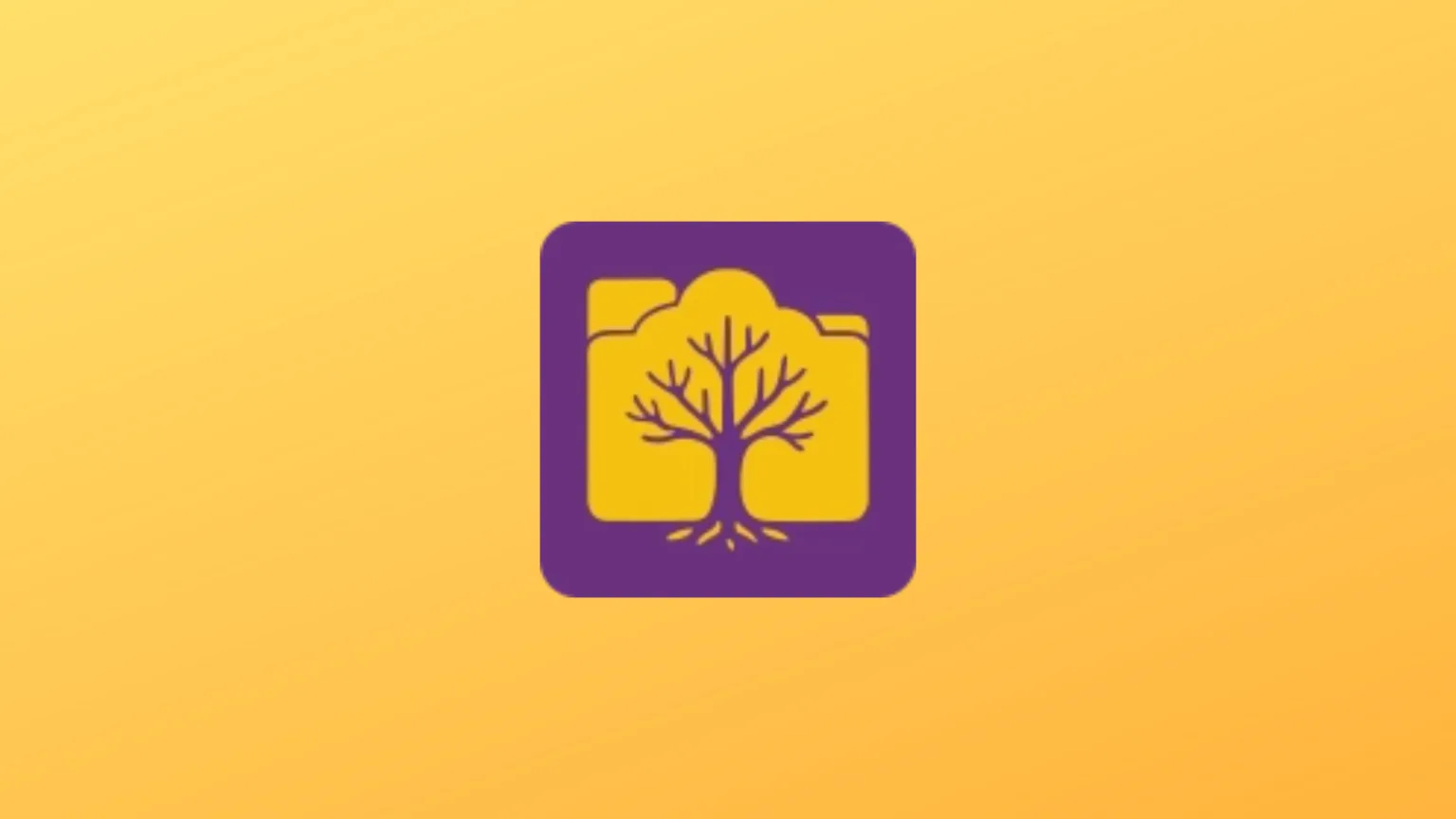 Imagem com a logomarca do Birchflow