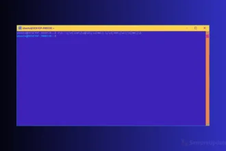 Diagrama de fluxo de dados ilustrando o caminho CPU‑GPU até o monitor quando o terminal trava ao rolar