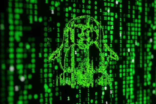 terminal Linux com efeito Matrix gerado pelo cmatrix