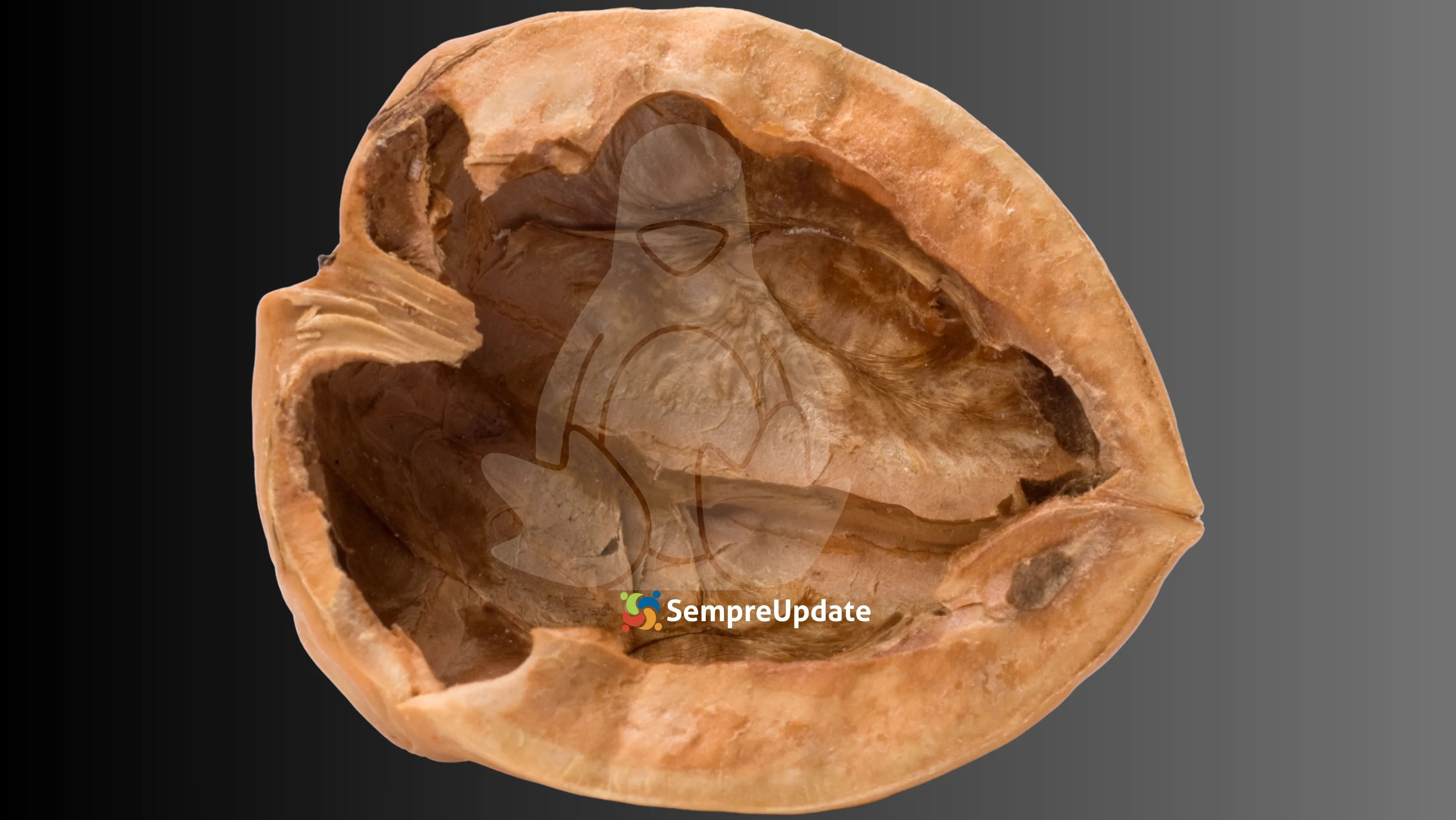 Linux em casca de noz representado por uma pena leve sobre fundo escuro com o mascote do Linux, simbolizando distros ultraleves que rodam com poucos MB de RAM