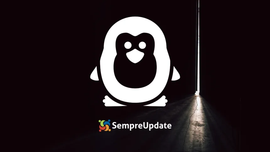 explicação visual da linguagem secreta do terminal Linux com comandos conectados por pipe