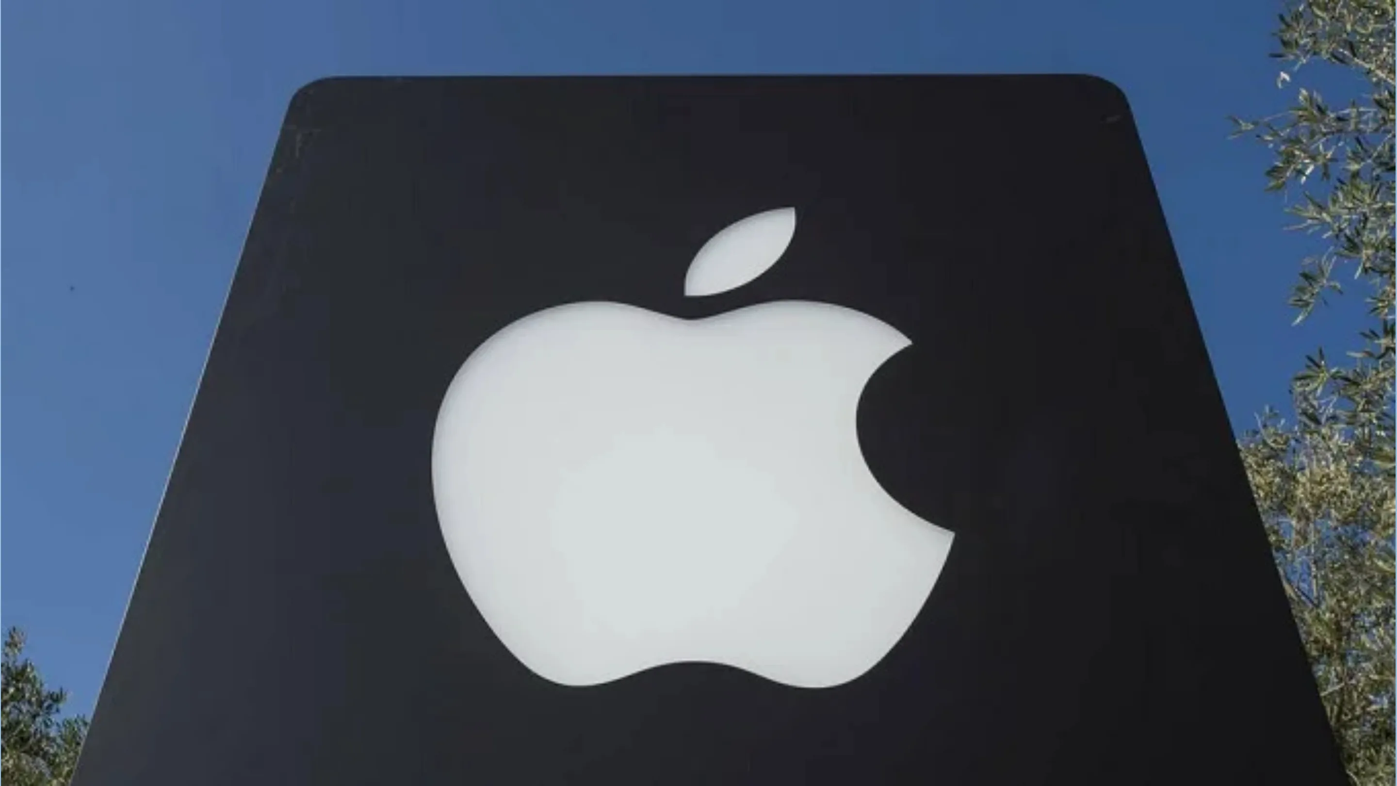 iPhone rolável