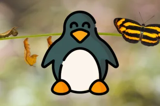 inha do tempo da evolução dos LKMs no kernel Linux com datas e versões