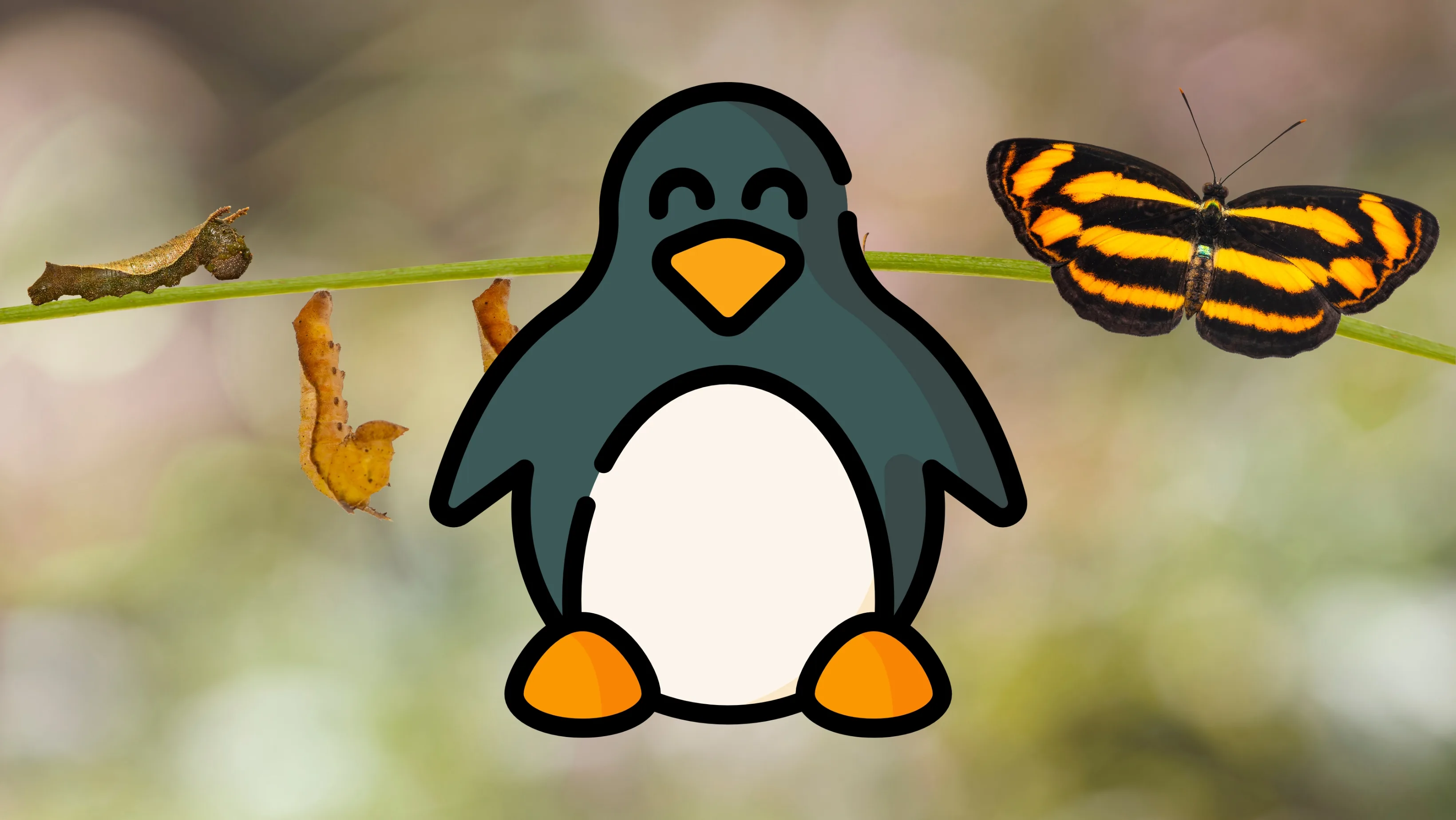 inha do tempo da evolução dos LKMs no kernel Linux com datas e versões