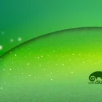 Agama 16 revoluciona instalações Linux com Wayland, IPMI e automação no SUSE e openSUSE
